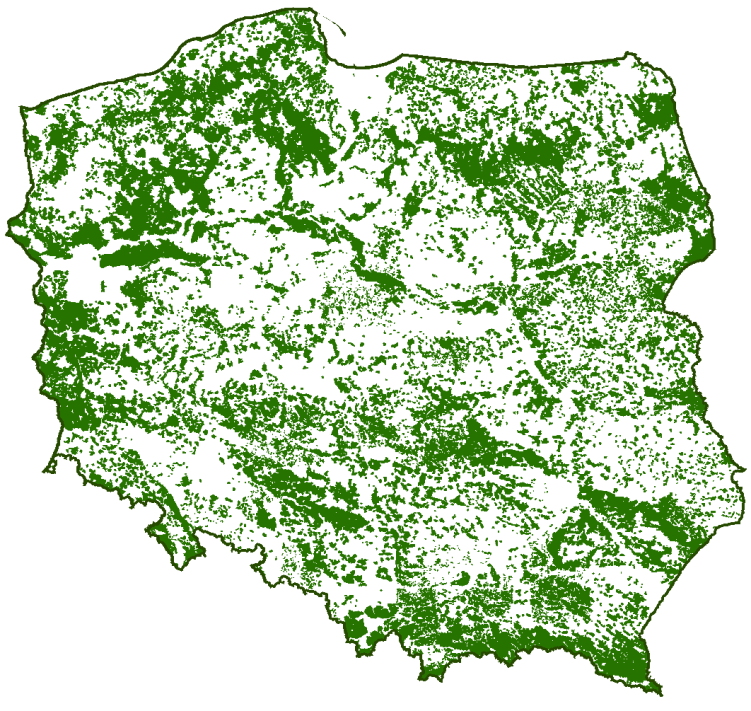 Lasy w Polsce Polska jest w europejskiej czołówce, jeśli chodzi o powierzchnię lasów.