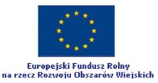 Analiza potencjału obszaru LGD i jakości życia mieszkańców Lokalnej Grupy Działania Bory Tucholskie Toruń,