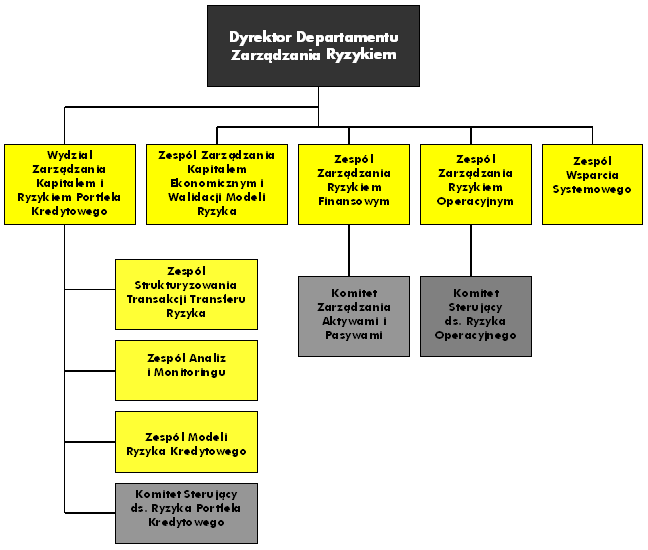 Departamentem odpowiedzialnym za długookresowe zarządzanie ryzykiem Grupy jest Departament Zarządzania Ryzykiem.