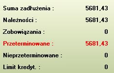 Po wybraniu kontrahenta system wyświetli Ci okno z informacją na temat płatności jakie są związane z tym kontrahentem.