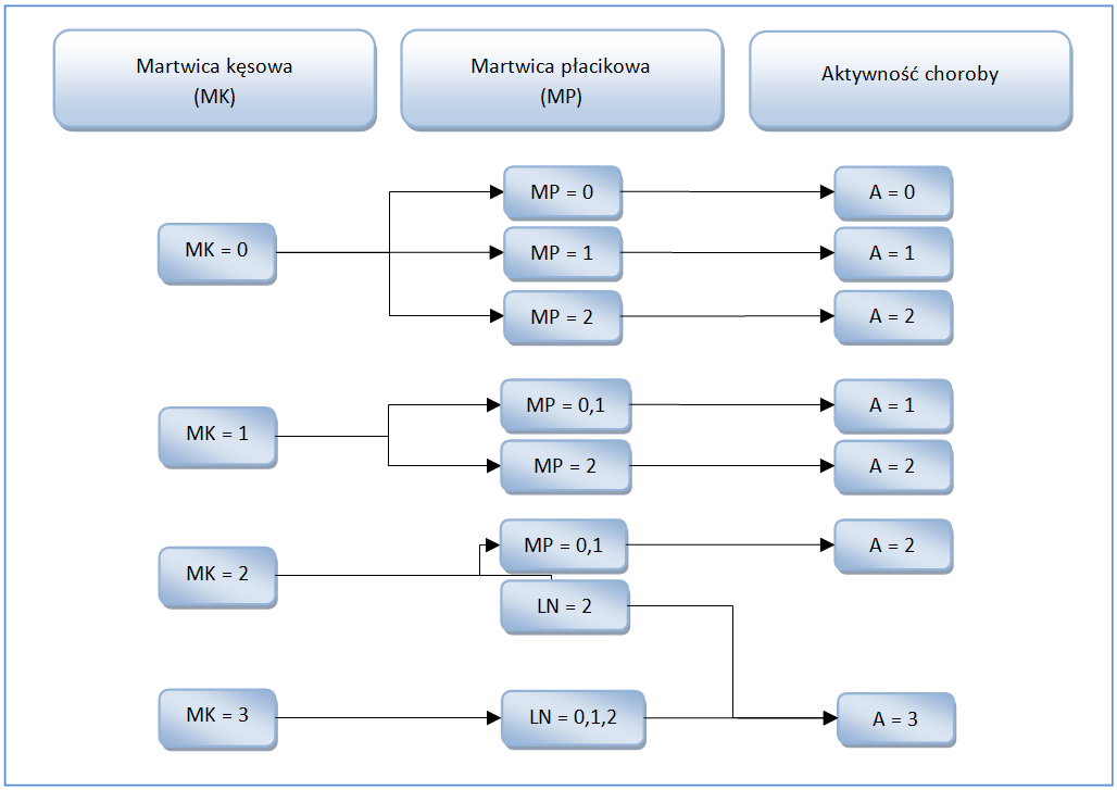 3.1. Opis skal histopatologicznej oceny zmian w przebiegu WZW C 3.1.1. Skala METAVIR Wykres 7. Algorytm oceny histologicznej aktywności WZW C Metavir (Guido 2011).