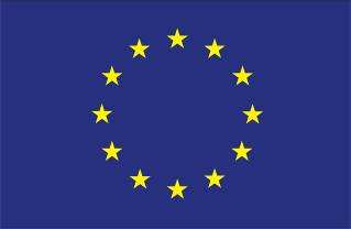 dla POKL wersja kolorowa wersja czarno-biała 6.1.2 Elementy graficzne a) flaga Unii Europejskiej źródło: http://europa.eu/abc/symbols/emblem/graphics1_pl.