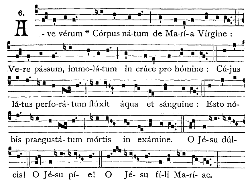 KOMUNIA Ave Verum Corpus - schola Jan Sebastian