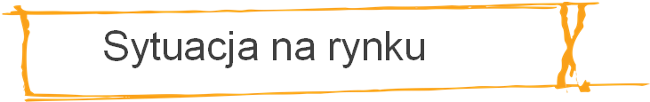 Sektor Bankowo-Finansowy Sytuacja na rynku Duże zmiany właścicielskie w sektorze Niewielkie zmiany budżetów inwestycyjnych w bankach Wprowadzanie nowych produktów i stałe modyfikowanie obecnie