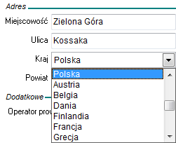 Po kliknięciu na ikonę Dodaj umieszczoną wewnątrz zakładki Tabela, wyświetli się okno, do którego należy wprowadzić dane pozycji tabeli naliczania odsetek: Odsetki można definiować także za pomocą