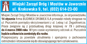 Będzinie. Do konkursu zakwalifikowało się 29 wykonawców, jednak tylko zwycięzca każdej z sześciu kategorii wiekowych miał szansę zaprezentowania się w będzińskim finale.