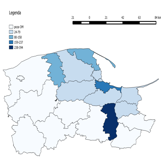 Trójmiasto 179 542 301 Rok 2013 OM - poza Trójmiastem 83 357 234 Trójmiasto 227 667 353 Źródło: Obliczenia własne na podstawie Izby Celnej. Firmy małe, wielkość przychodów do 10 tys. PLN.