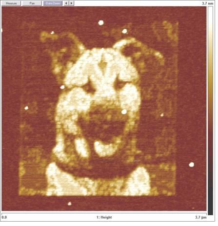 Litografia AFM Vector nanolithography.