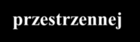 1. Dokładność pozycjonowania robotów jest niewystarczająca. 2. Egzemplarze robotów tego samego typu różnią się między sobą.