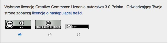 2 Następnie można dodać dodatkowe dane, które system uwzględni generując informację licencyjną: Format utworu (audio, wideo, zdjęcie/obraz, tekst, interaktywny, inny), Tytuł utworu, Imię i nazwisko