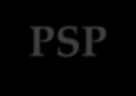 PSP PSP to szybka ścieżka na przejściu granicznym dla