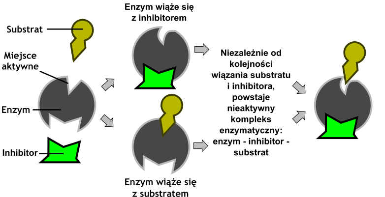 Inhibicja