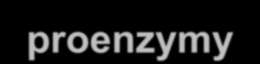 Ograniczona proteoliza - proenzymy proenzym (zymogen) nieaktywny prekursor enzymu do uaktywnienia wymaga jedno- lub kilkustopniowej proteolizy powstanie centrum katalitycznego (odcięcie fragmentu,