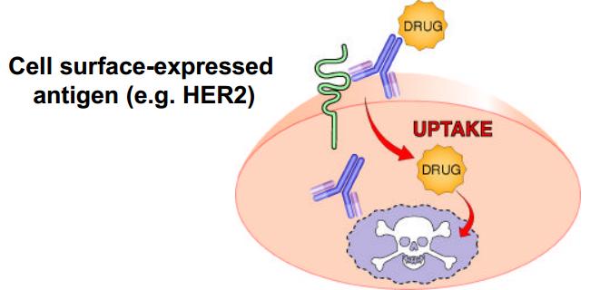 Herceptyna