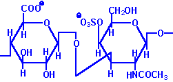 Heteroglikany- galaktozoaminoglikany 4- siarczan chondroityny: kwas glukuronowy N-acetylo(b)galaktozoamina wiązanie b-1,3-glikozydowe 6- siarczan chondroityny: