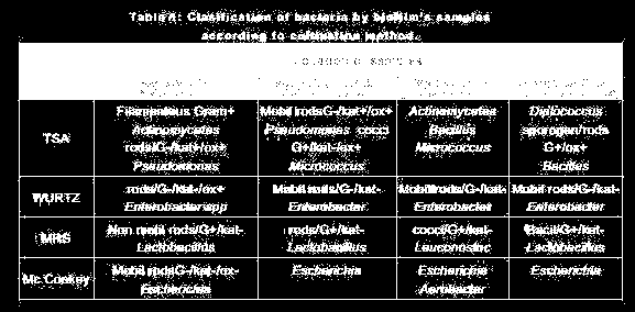 Bakterie z biolifmu w browarze L. Shabani, A.