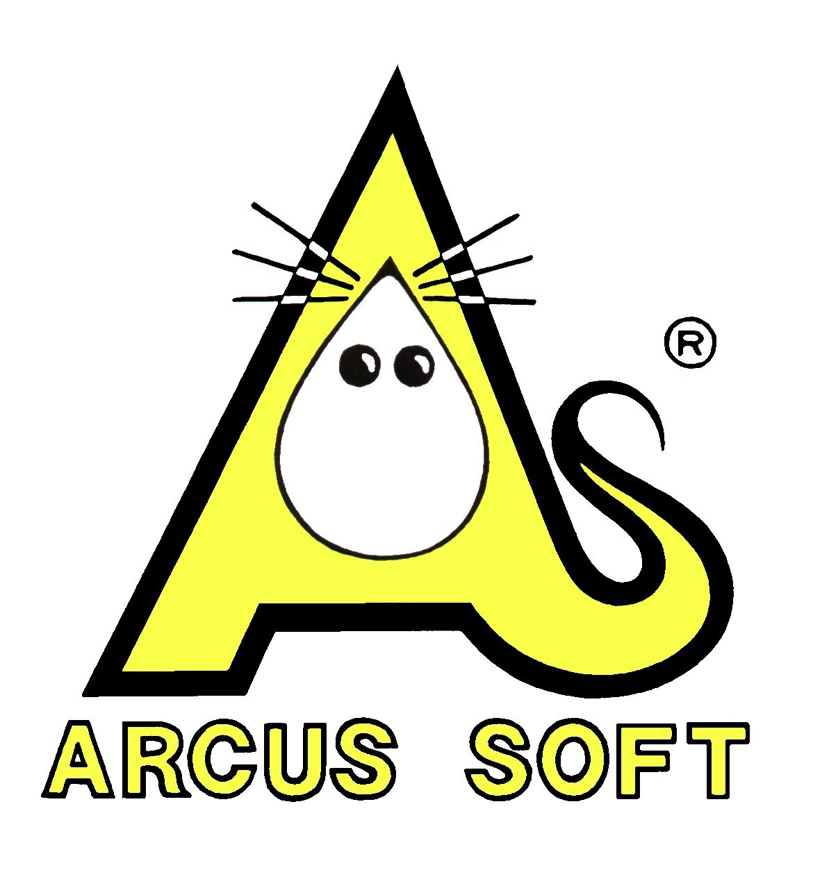4 Dokumentacja użytkownika ARCUS SOFT 37 300