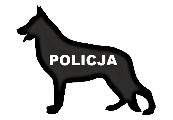 Dziennik Urzędowy Komendy Głównej Policji 11 Poz.