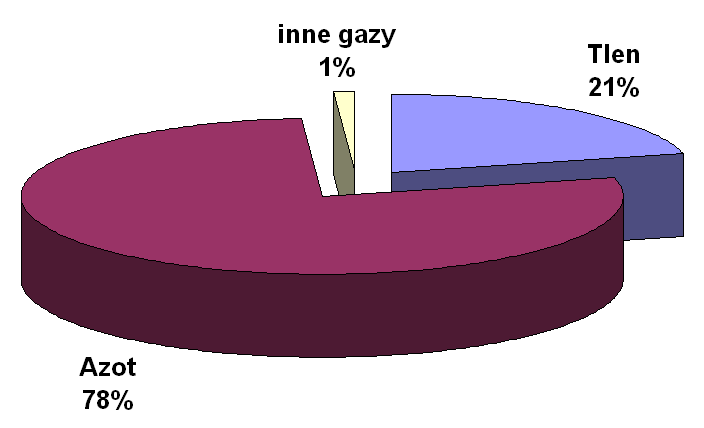 Skład powietrza 1% innych gazów to: dwutlenek