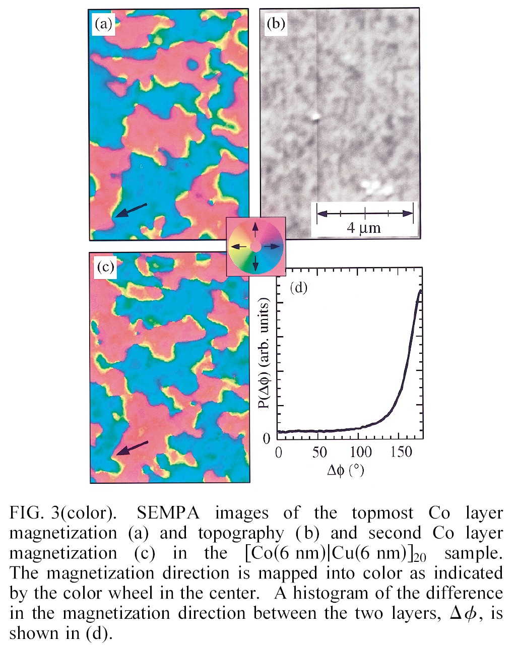 [Co(6 nm/cu(6 nm)]20 SEMPA-trawienie jonowe 2 kev, Ar+ J.A. Borchers et al.