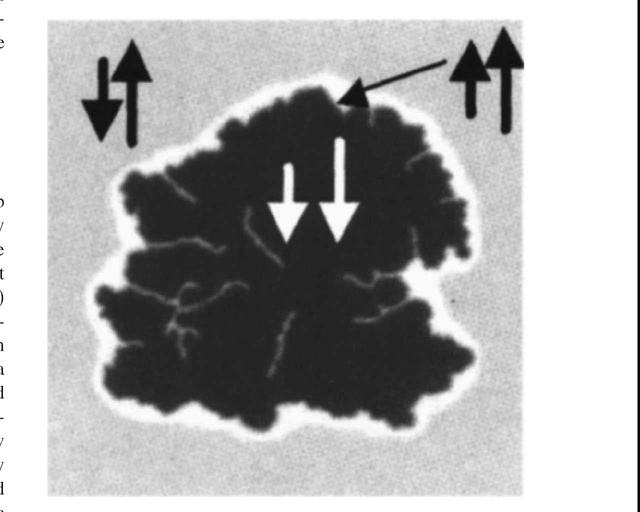 Replikacja w układach z anizotropią prostopadłą S. Wiebel et al., J. Appl. Phys.