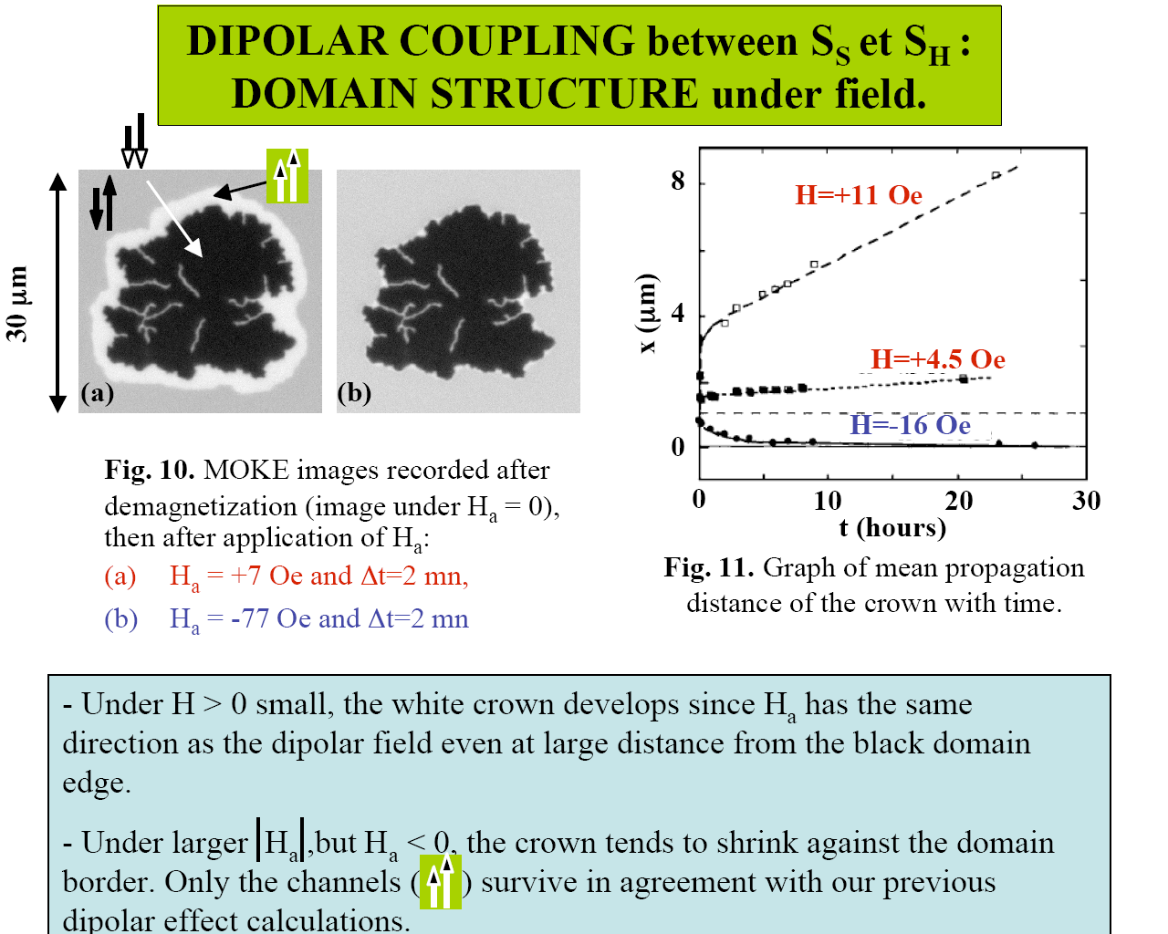 Replikacja w układach z anizotropią prostopadłą S. Wiebel et al., J. Appl. Phys.