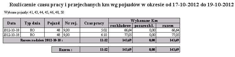 Przykład wydruku szczegółowego: Kolumny: Data Typ dnia Pojazd Nr rejestracyjny Czas pracy Wykonane km