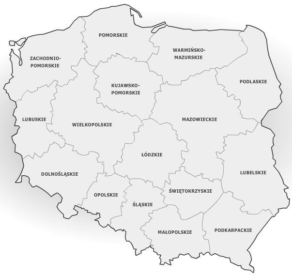 ROZDZIAŁ II.