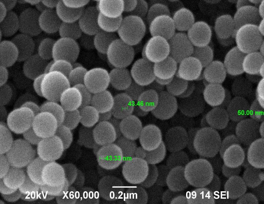 Nanokrzemionki sferyczne immobilizacja nanocząstek srebra SEM EDS nanocząstka srebra SGS Ag 2/3, JEOL typu JSM 6490 LV, powiększenie x 60 000 Pik pochodzący od srebra