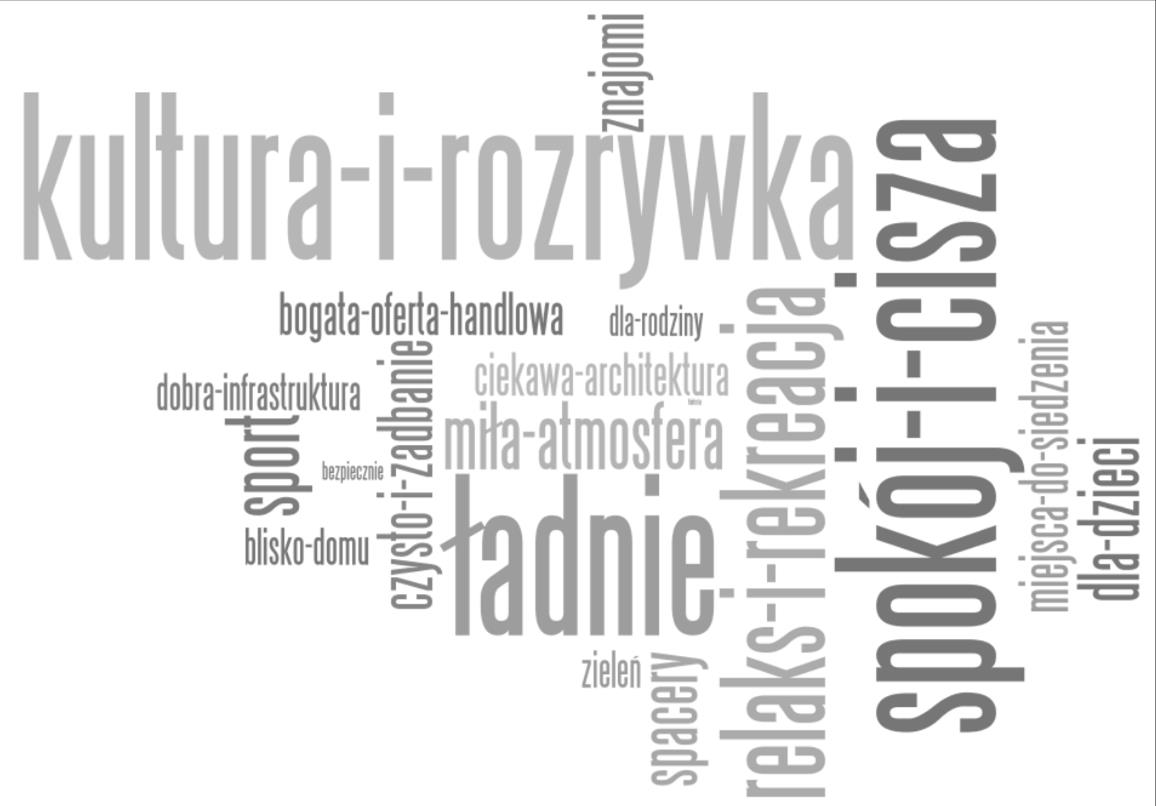 Rysunek 31 Chmura tagów - odpowiedź na pytanie: jakie miejsce w Pruszczu Gdańskim mieszkańcy / Opracowanie: Brokos P., Suchomska J.