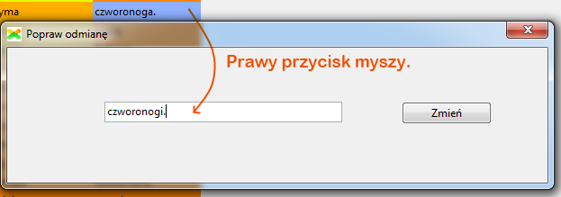 Możliwe jest również poprawienie danego synonimu, co robimy klikając na nim prawym przyciskiem myszy i wpisując w nowym oknie zmienioną formę (zatwierdzamy przyciskiem lub klawiszem Enter).