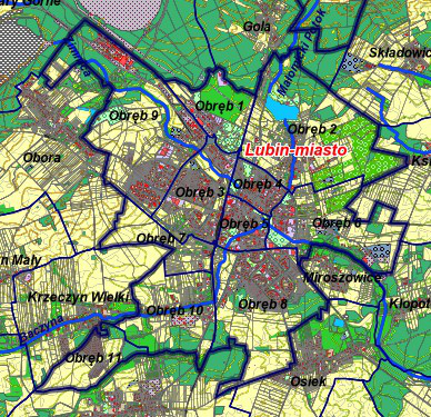 Wyniki ankietyzacji budynków jednorodzinnych obręby miasta Lubina Uzyskano 495 ankiet, co stanowi 23% całej populacji