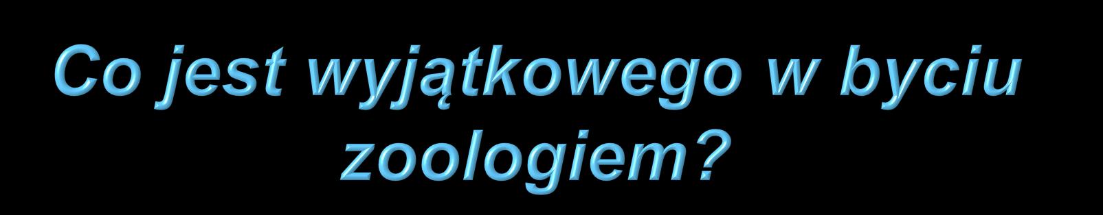 odkrywanie nowych zachowań