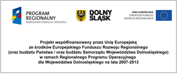 jego nazwę, całkowitą wartość i wkład środków EFRR - nazwę i dane teleadresowe Beneficjenta - informację o współfinansowaniu projektu z Europejskiego Funduszu Rozwoju Regionalnego, co najmniej w