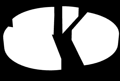 were native speakers of Polish, Slovak and Ukrainian. Romance languages were represented by Italian, Spanish and Portuguese native speakers.