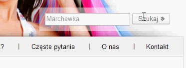 3 Co widzisz? czyli jak ważne jest poprawne nazewnictwo Dla wszystkich osób badanych zdjęcie z produktem przedstawiało marchewkę jednak wyszukanie tej nazwy w sklepie nie przynosiło żadnego wyniku.