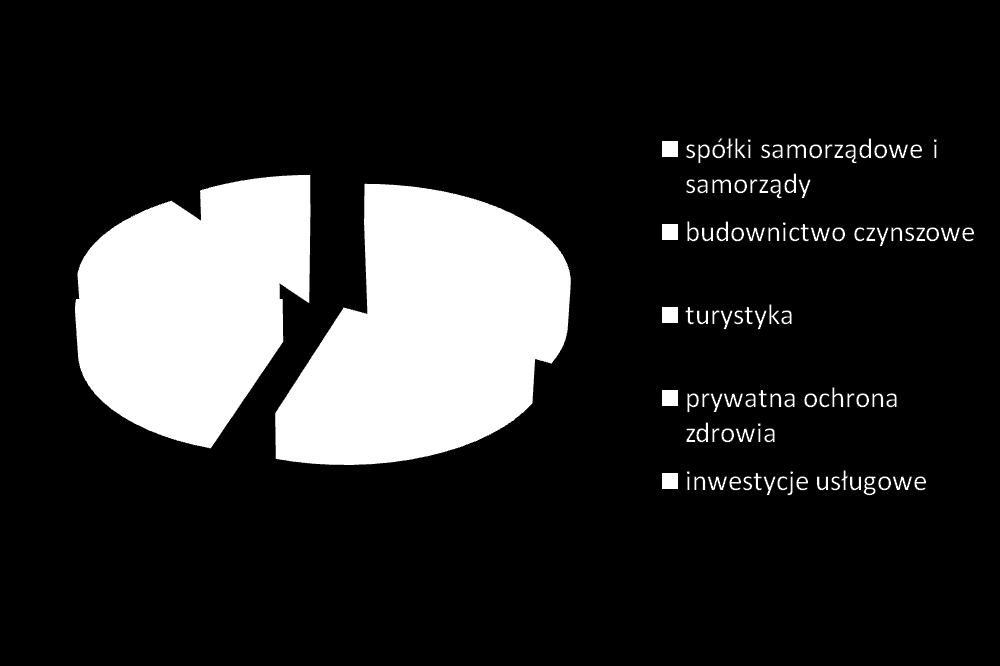 Model finansowania inwestycji Dywersyfikacja branżowa wg