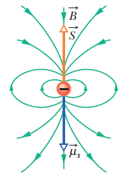 Elektron momenty magnetyczne (*) Jeśli wyobrazimy sobie elektron jako wirującą kulkę o momencie pędu S (co jest niestety sprzecze ze zrozumieniem elektronu jako cząstki punktowej, bez wymiarów), to