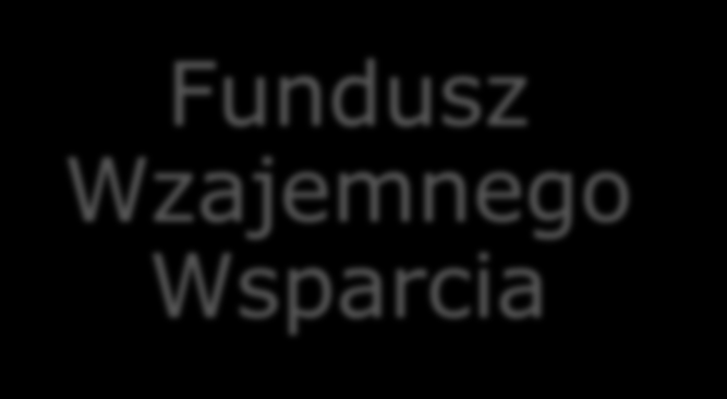 Poziomy pokrycia Do 30% utraty dochodu ROLNIK Fundusz Wzajemnego Wsparcia Państwo może współfinansować (do 65 proc.