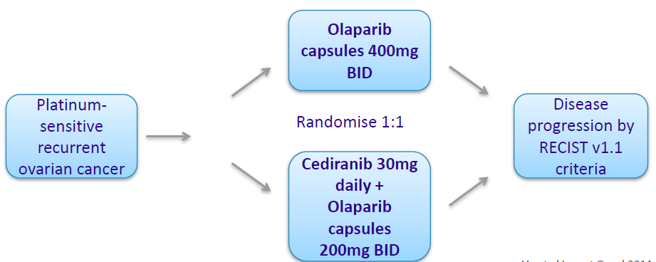 OLAPARIB + CEDIRANIB VS OLAPARIB W LECZENIU