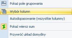 Następnie z okna Dostosowywanie chwycić VAT (dla sprzedaży) lub VAT od zakupu, przeciągnąć na górę do nagłówka kolumn i puścić kolumna zostanie wyświetlona.