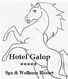 Technik hotelarstwa 79 Oferta hotelu Galop***** Hotel Galop***** ul. Leśna 113 11 740 Mikołajki e-mail: hotel@galop.pl tel.