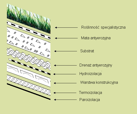 Dach ekstensywny skośny Dach rozchodnikowy bez(/lub z) systemów zabezpieczeń(5-15º/15-45º), ciężar 100-130 kg/m²* Dach naturalny bez (/lub z) systemów zabezpieczeń(5-15º/15-35º), ciężar 160-190