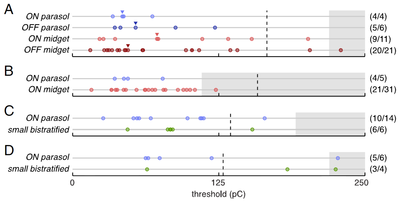 Receptive fields of different cell types are plotted separately for clarity, with the array boundary indicated by the hexagonal outlines.