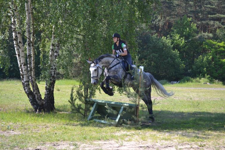 Wprowadzenie Zawody WKKW Szwadron Jazdy RP Ośrodek Sportów i Rekreacji