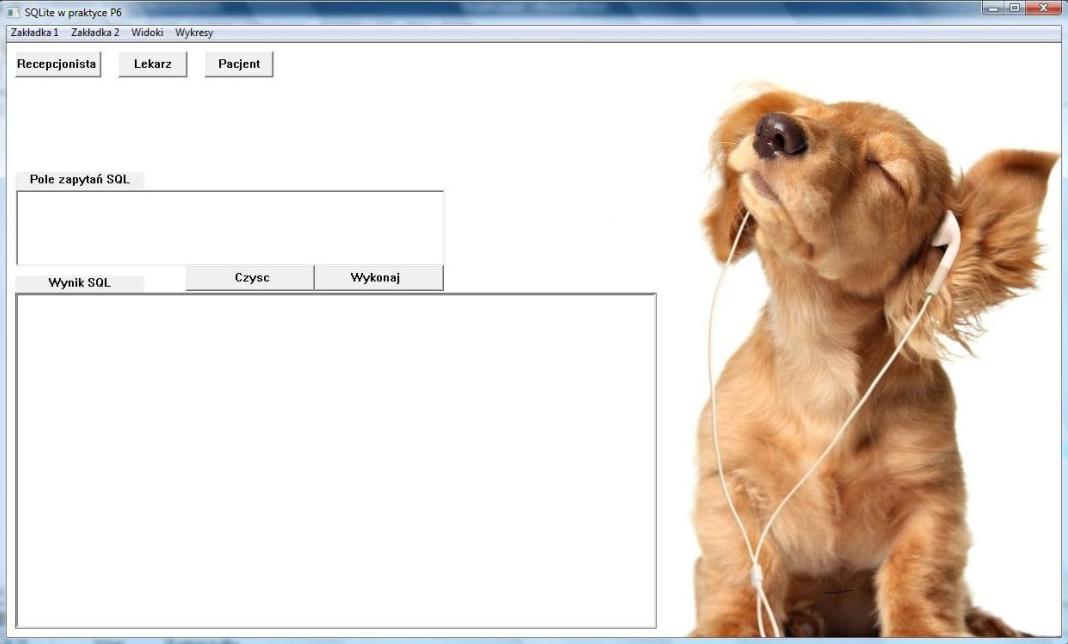 6. Prezentacja modułów aplikacji Aplikacja składa się z okna głównego, gdzie mamy miejsce do wprowadzania zapytań oraz do ich wyświetlania, przycisk czyść, który służy do