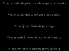 Niedomykalność mitralna Łączą wolne brzegi płatków mitralnych z mięśniami brodawkowatymi. Zmienność osobnicza liczby nici ścięgnistych i proporcji pomiędzy przednim i tylnym płatkiem.