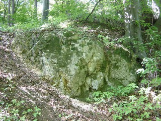 150 m, wysokość: 20 m 49º39,147 N 22º38,126 E Wiar (37+000-36+750) km rzeki 11. Piaskowce w Posadzie Rybotyckiej Posada Rybotycka dz. ew. nr 90 17, poz. 102 z 30. 12.