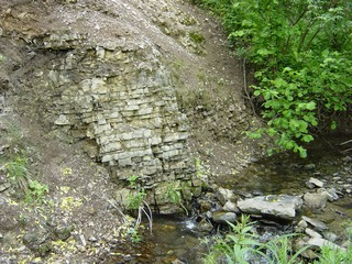 1531) Odkrywka charakterystycznych skał dla Roztocza Wschodniego oraz profil gleb reliktowych (terra fusca), leje krasowe długość 40m, wysokość 6 m, szerokość 30, powierzchnia 0,71 ha 50 0 12,39 N 23