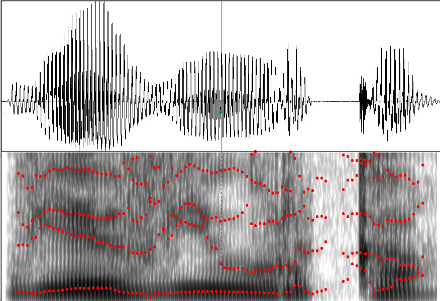 Na pierwszym rysunku znajduje się spektrogram oraz sygnał w dziedzinie czasu słowa wiewiórka przed